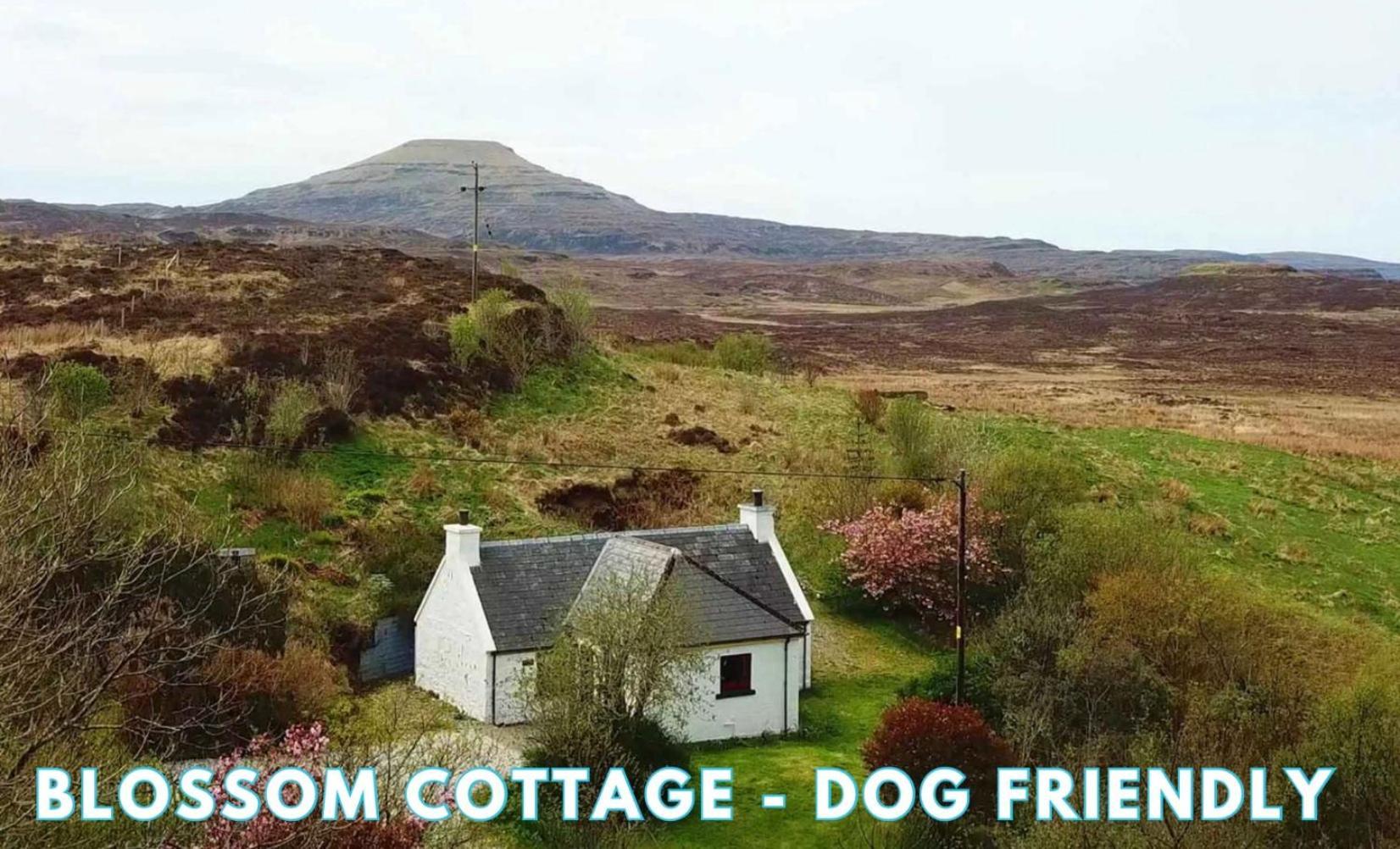 Вилла Araucaria Croft Skye Данвеган Экстерьер фото